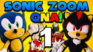 Sonic Zoom Q&A! (4,000 Subscriber Special)