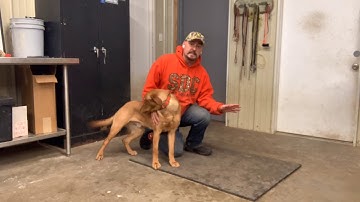 Ares Force Fetch 4 - Fetch Command