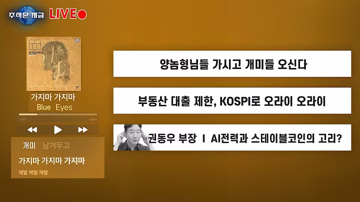 양놈형님들 가시고 개미들 오신다ㅣ부동산 대출 제한, KOSPI로 오라이 오라이ㅣ권동우 부장 'AI전력과 스테이블코인의 고리?'