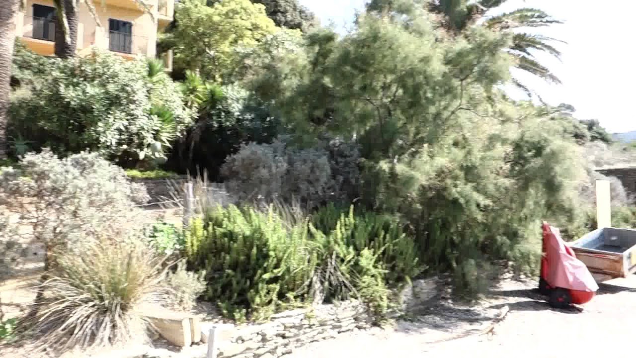 PlongeeO.com - pause de midi sur l'Ile de Port Cros