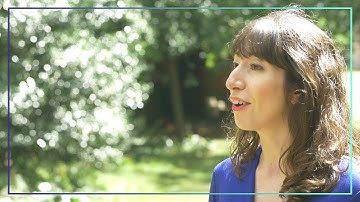 Why Newton? Rewards and Benefits