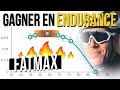 Optimiser lentranement en endurance  zone 2 et fatmax