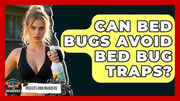 Can Bed Bugs Avoid Bed Bug Traps? - Insects and Invaders