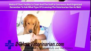 24 hour veterinary clinic