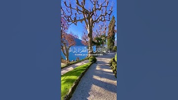 القارئ 🎤 محمد عبادة
