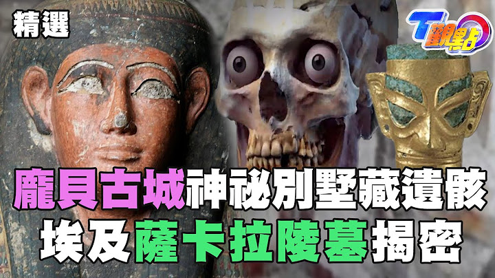 龐貝古城新發現 神祕別墅藏2具遺骸 埃及薩卡拉陵墓揭密【T觀點精選】 - 天天要聞