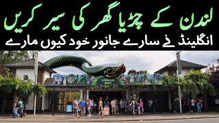 London Zoo Urdu Documentary England Ke Chirya Ghar Ki Sair Aur Kahani