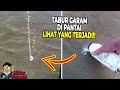 Gak Disangka! Sesuatu Hidup Keluar Dari Dalam Pasir Ini