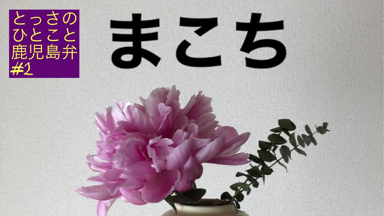 鹿児島弁 とっさのひとこと鹿児島弁 2 まこち まこて Youtube