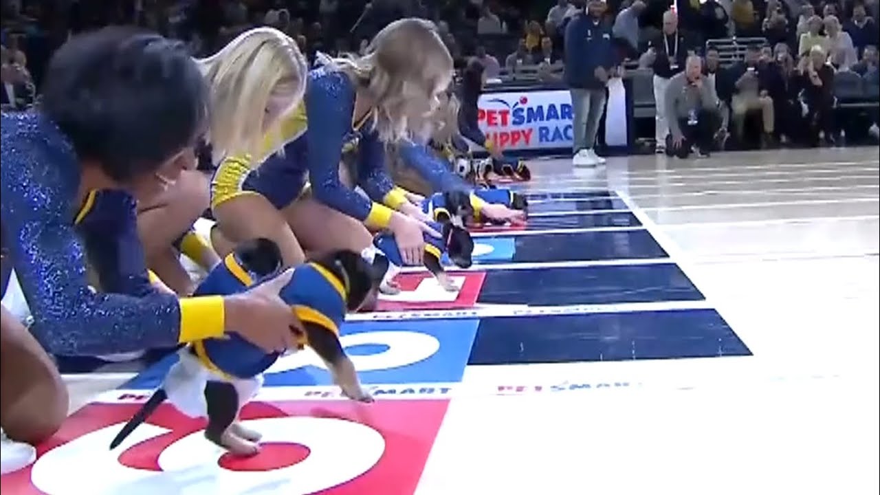  This puppy race didn’t go as planned 🤣 (via Pacers/TW)