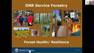 Forestry Landowner Assistance Programs Webinar - March 2024