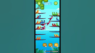 Bird sort puzzle level 51