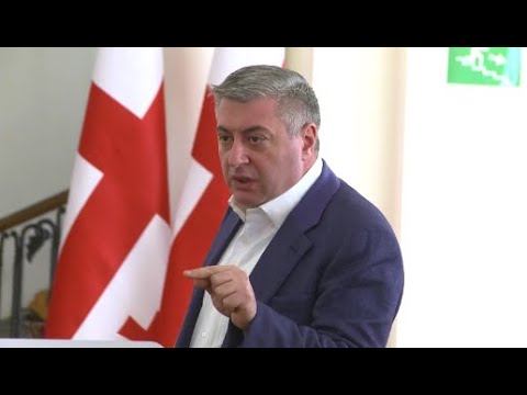 მმართველი პარტია მედიის რეგულაციას ითხოვს - რით არის უკმაყოფილო კახი კახიშვილი