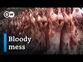 Cheap meat cheap work in Germany | DW Documentary