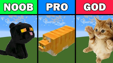 NOOB VS PRO VS HACKER Minecraft Pixel Art - Cat