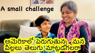 Who won the challenge | Parenting | సరదాగ కాసేపు | Telugu Vlogs from USA