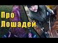 Про лошадей: верховая езда, уход, взаимодействие