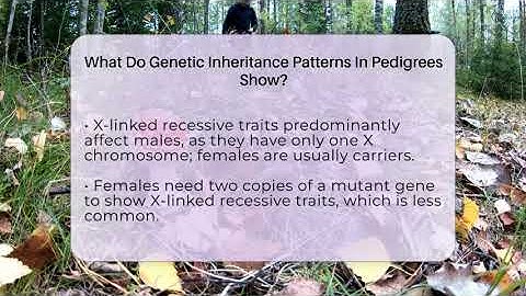 What Do Genetic Inheritance Patterns In Pedigrees Show? - Biology For Everyone