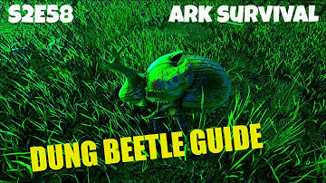 Taming a Dung Beetle |  Tips and Gameplay | (E58) ARK: Survival Evolved