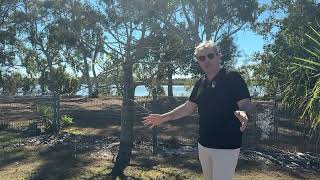 6 Driftwood Court, Winfield QLD 4670