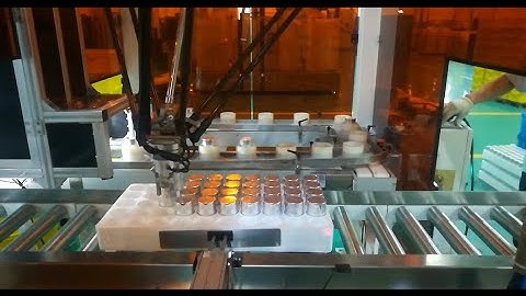 High-Speed Capacitor Handling with Delta Robot and Vision System | Precision Pick & Place Automation
