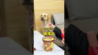 萬萬沒想到被一隻狗嫌棄�...