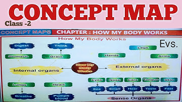 How My Body Works,हमारा शरीर कैसे कामकरताहै,Class-2,ConceptMap,Evs,GK,Environmentalstudies map19kids