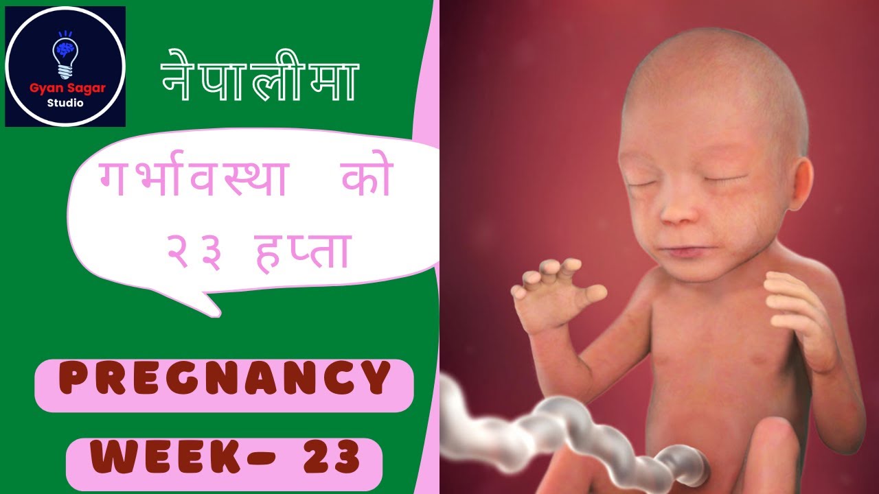 23 Week Pregnancy in Nepali गर्भावस्था को २३ हप्ता 23th weeks
