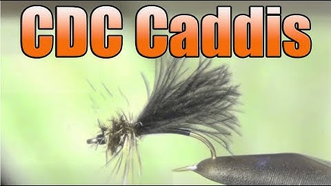 CDC Caddis Fly Tying