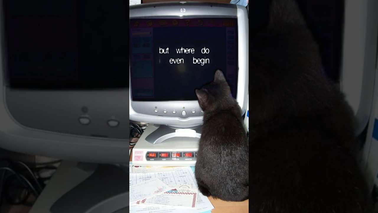 Song: “BNVLNT - where do i begin?” New presets coming soon!! 