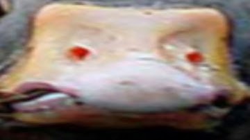 Defusing the Cipher Symphony - KTANE