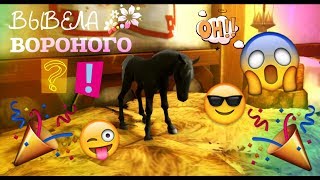 Алисия/ВЫВЕЛА ВОРОНОГО ЖЕРЕБЁНКА?!/ТРЕБУЮ ПИНГВИНОВ!! Алисия/ВЫВЕЛА ВОРОНОГО ЖЕРЕБЁНКА?!/ТРЕБУЮ ПИНГВИНОВ!!