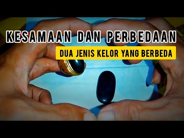 Persamaan dan Perbedaan Dua Jenis Kelor Ini. Diluar Dugaan,Ada Yang Mendadak Berubah class=