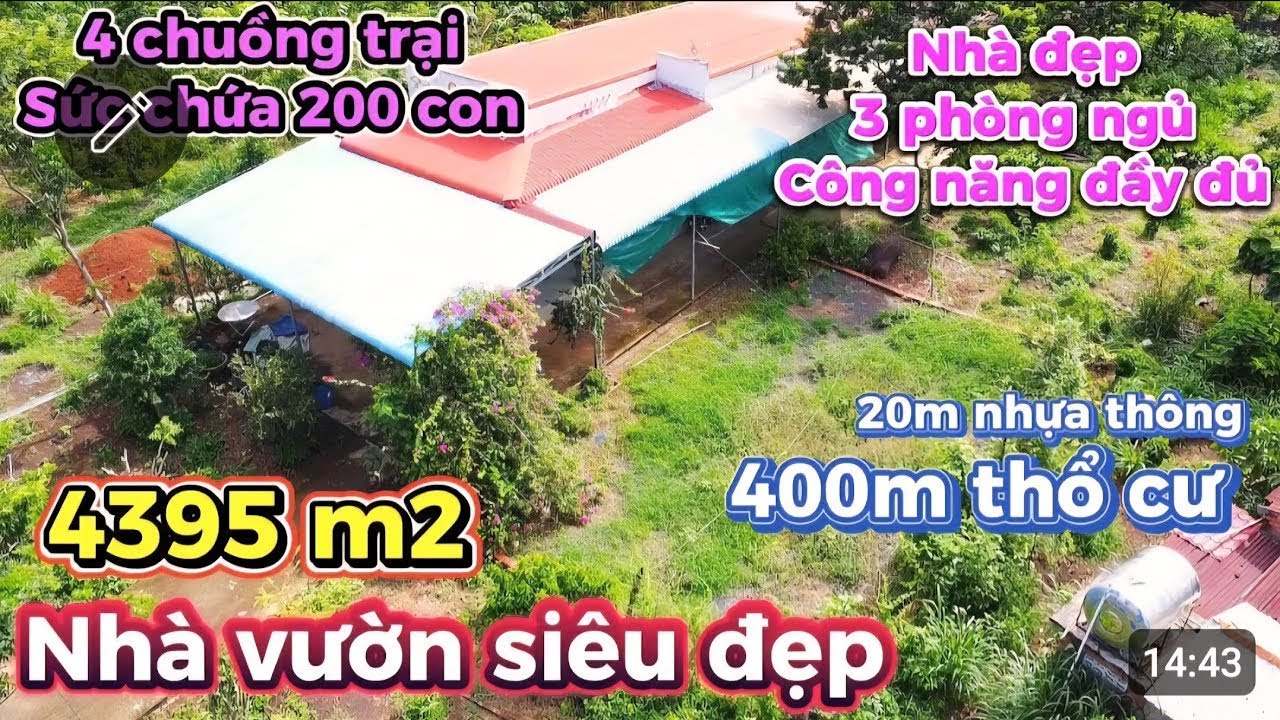 Vườn Cây Ăn Trái + Nhà 3PN Full Tiện Nghi  Chuồng Trại Quy Mô Khủng  400m Thổ Cư Sẵn+ 28m nhựa