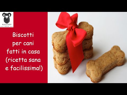 Biscotti per cane fatti in casa