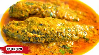 কৈ মাছের অন্যতম এই রান্না মুখের স্বাদ বদলে দেবে|| কৈ মাছ ভাপা|| Koi fish recipe Bengali style