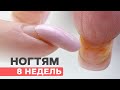 Аппаратный маникюр + гель лак | Покрытию 8 недель! Как исправить?