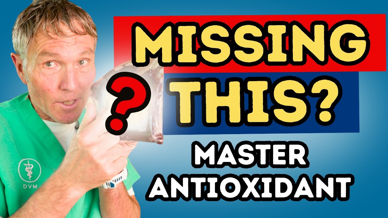 max gxl glutathione for pets The Master Antioxidant Your Dog and Cat May Be Missing Discount: EQX25