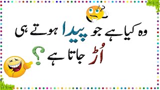 Paheliyan In Urdu With Answer - Amazing Facts About Common Sense - Urdu Riddles # 4 screenshot 2