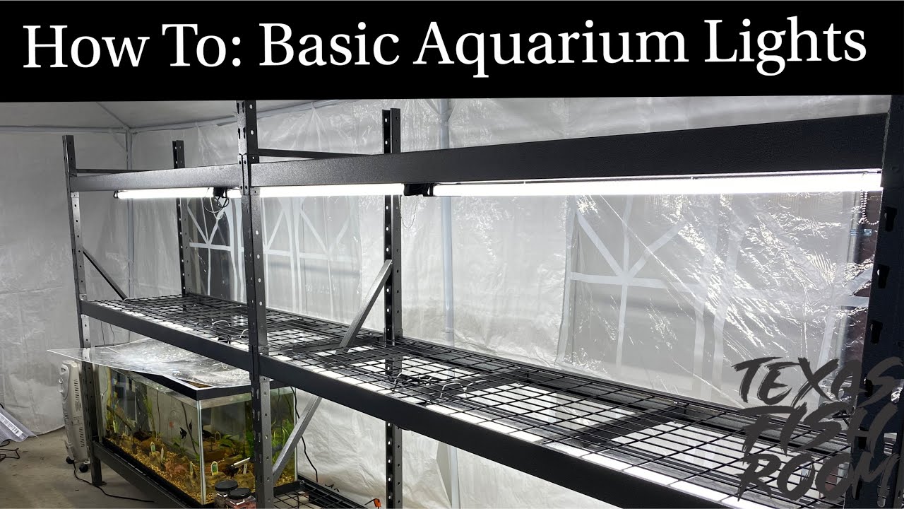 How To Aquarium Lighting for Rack System YouTube
