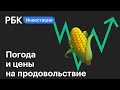 Как природные аномалии повлияли на цены на продовольствие. Новости рынков