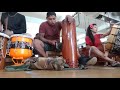 Tahiti drums mxico 