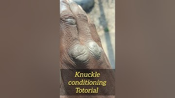 Knuckle conditioning Totorial #martialarts #knuckles