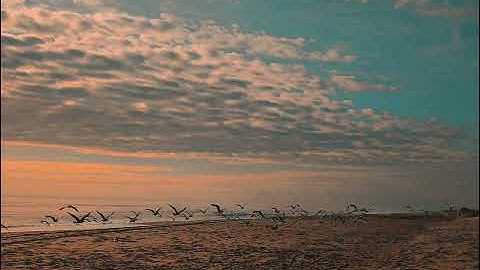 @ سورة الملك | منجية من عذاب القبر | تلاوة مؤثرة#القارئ ـ المعيقلي ـ✨🍃