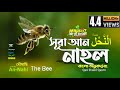 016    surah annahl bee       qari shakir qasmi  mahfuz art of nature