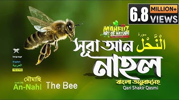 016) সূরা নাহল - Surah An-Nahl (bee) | سورة النحل  অনুবাদ | Qari Shakir Qasmi | mahfuz art of nature