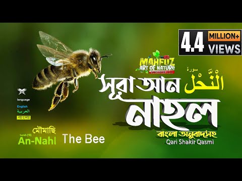 016) সূরা নাহল - Surah An-Nahl (bee) | سورة النحل  অনুবাদ | Qari Shakir Qasmi | mahfuz art of nature