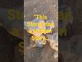 “This Stone Has a Hidden Story… 🪨”