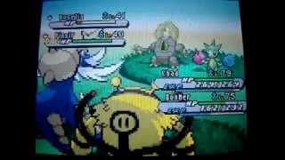 Shiny Pinsir RANDOM ENCOUNTER BW2
I was looking for a female Combee to evolve into Vespiquen for my Unova PokeDex, when THIS appeared!
Whats weird though is I kind of expected it would appear moments before it did. Ive also been predicting when I throw Critical Captures... very very weird. :S
Either way I wasnt exactly too prepared for this, plus they know Thrash. So I couldnt use False Swipe like I usually do, otherwise they might kill themselves in Confusion.
I caught it on the second try, thought I was going to see if it injured itself to lower its HP before I continued.
I like the Net Ball, but for some reason some people dont.
If you catch a Shiny Pokemon in Pokemon Black 2 & White 2, you get a Medal for it.
But theres a new item you can get called the Shiny Charm... it increases the chances of shiny Pokemon appearing quite a bit.
However, to get it, you must CATCH all the National PokeDex Pokemon (excluding Event Legends).
Basically, you have to Catchem All!
(If you catch all the Unova Dex Pokemon, you get the Oval Charm which makes Eggs appear more often, which is also a nice treat!)
Now, back to filling my PokeDex...
Ill probably use this guy as a False Swiper later. He just looks so cool.
Really needs Moxie/Jolly with Egg Move Close Combat to be effective though. Shiny Pinsir RANDOM ENCOUNTER BW2