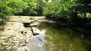 Barfield Crescent Park, Murfreesboro, TN